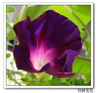 �Ҽҵ�¶̨��P5.P6���£�