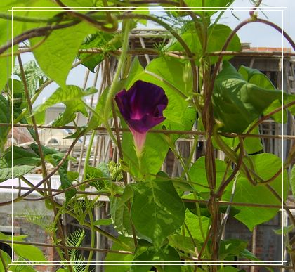 �Ҽҵ�¶̨��P5.P6���£�