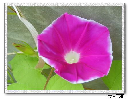 7�·�ţ��P5.P6���£�