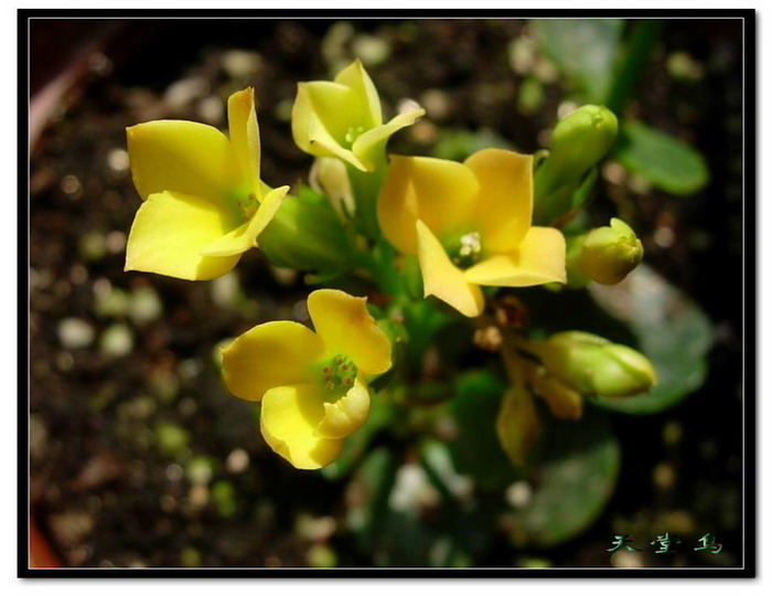 ��Ӱ��Ʒ�����������ң�