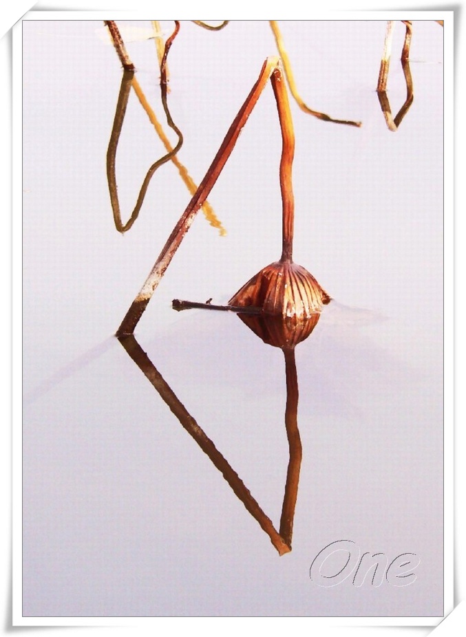 ��Ӱ��Ʒ�����������ң�