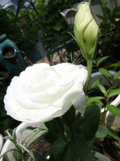 7��13��  �˺ӱ��ϵ��Ƕ�  P22  ����   *-*����Ļ�԰*-*