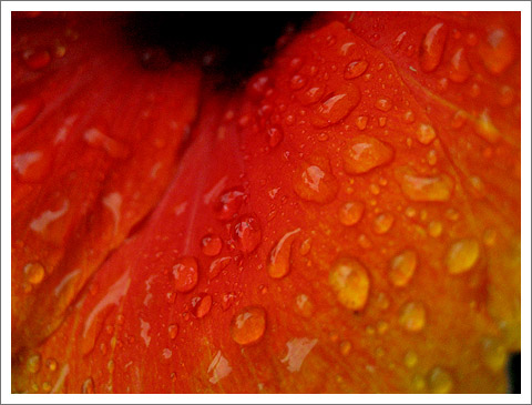 �����ķ�ɣ(�ڶ���)