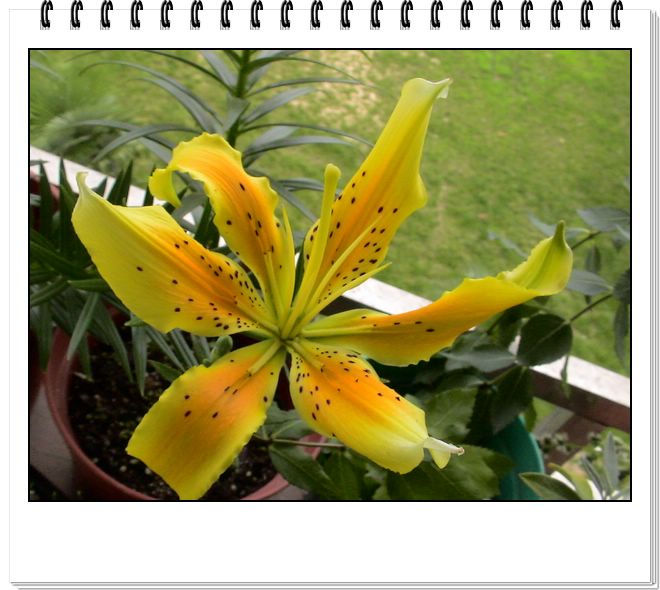 06��һЩ����--�ٺϡ����ˡ�����è