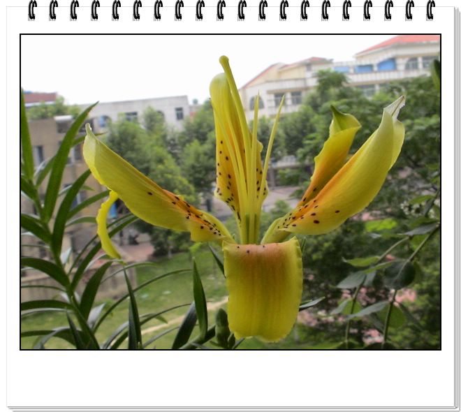 06��һЩ����--�ٺϡ����ˡ�����è