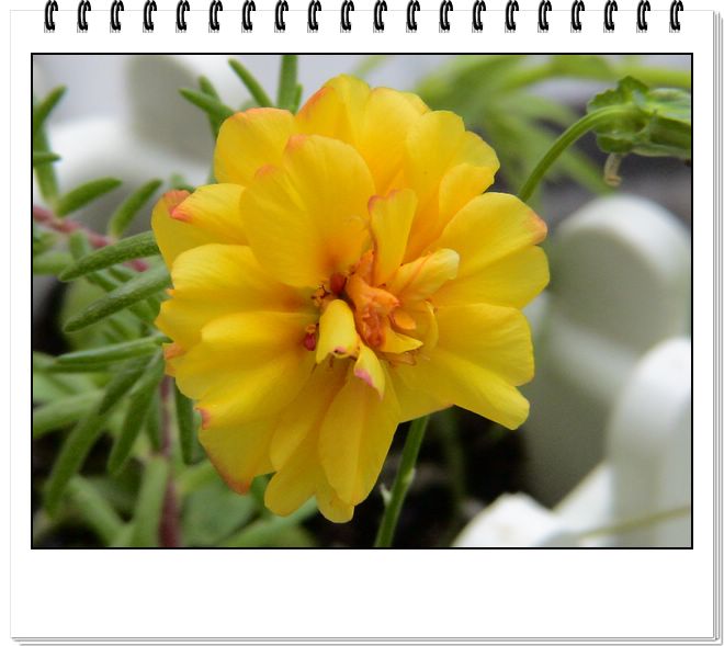 06��һЩ����--�ٺϡ����ˡ�����è