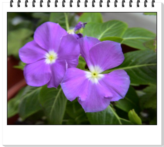 06��һЩ����--�ٺϡ����ˡ�����è