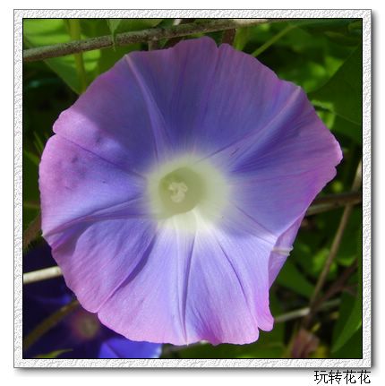 7�·�ţ��7��14�����¸��£�