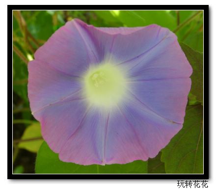 7�·�ţ��7��14�����¸��£�