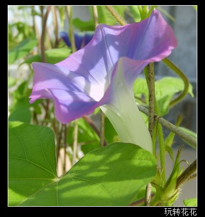 7�·�ţ��7��14�����¸��£�