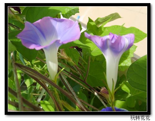 7�·�ţ��7��14�����¸��£�