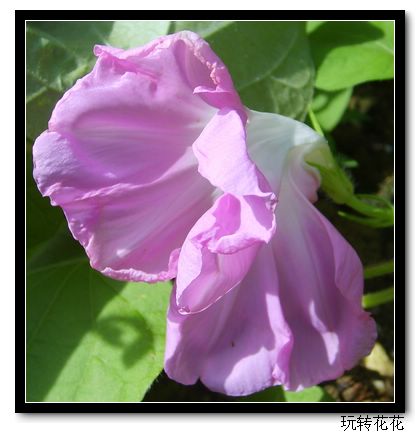 7�·�ţ��7��14�����¸��£�