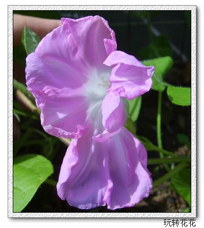 7�·�ţ��7��14�����¸��£�