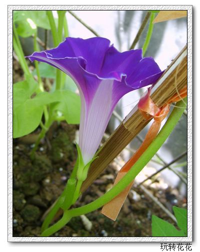 7�·�ţ��7��14�����¸��£�