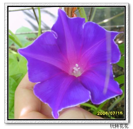 7�·�ţ��7��14�����¸��£�