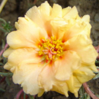 ���л�����̫����(δ�����)