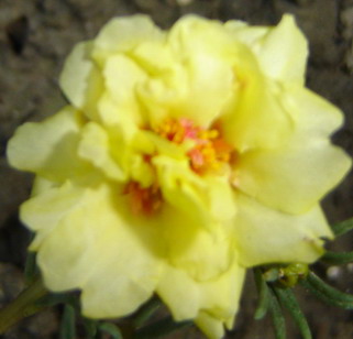 ���л�����̫����(δ�����)