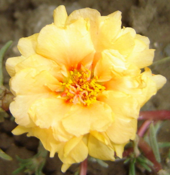 ���л�����̫����(δ�����)