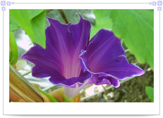 7�·�ţ��7��14�����¸��£�