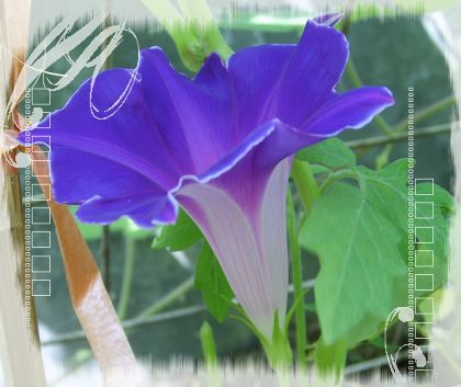 7�·�ţ��7��14�����¸��£�