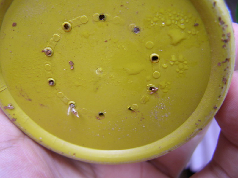 ������̨�ϵ�Ҷ�ӻ�������÷��