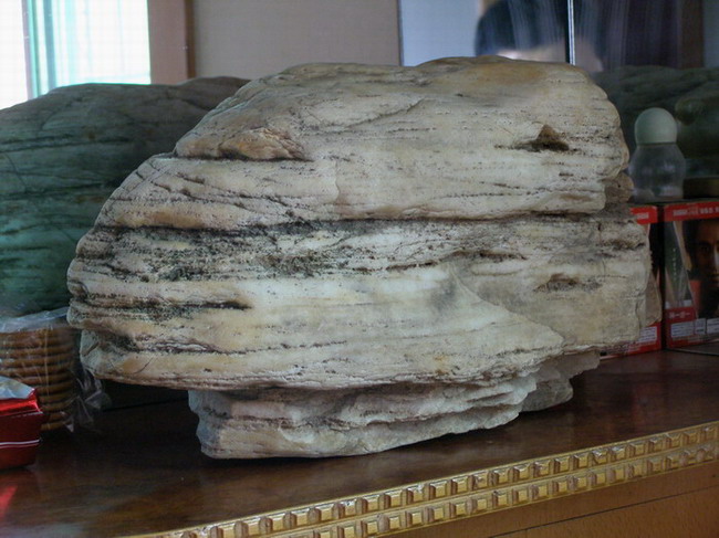 ������̨�ϵ�Ҷ�ӻ�������÷��