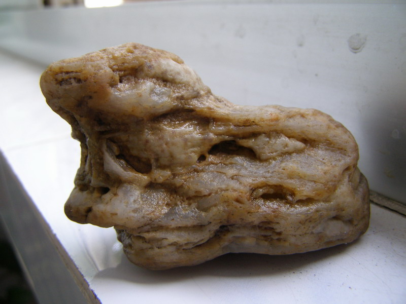 ������̨�ϵ�Ҷ�ӻ�������÷��