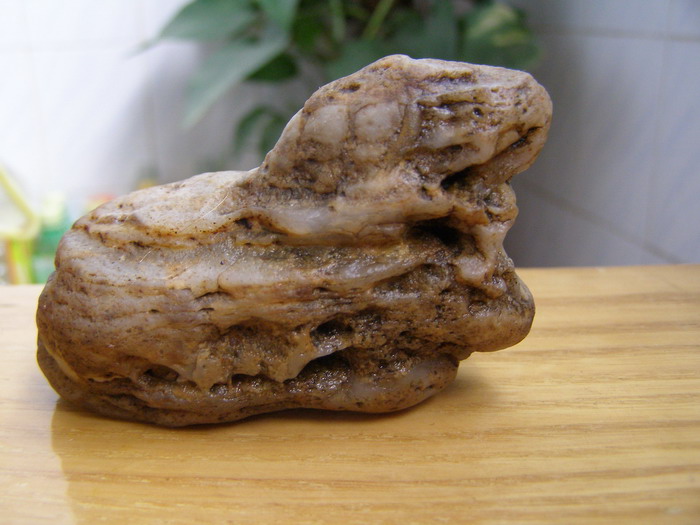 ������̨�ϵ�Ҷ�ӻ�������÷��