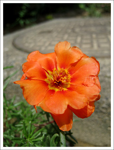 �����İ�֧����P4���£���ѫ�¾�