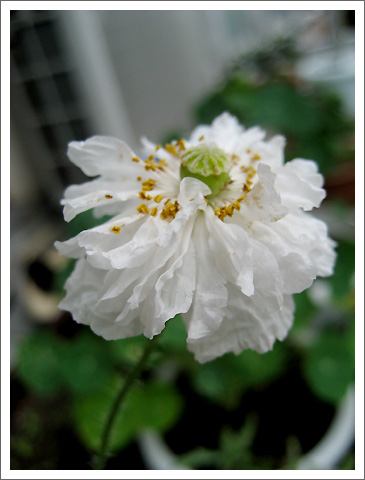 �����������˲�