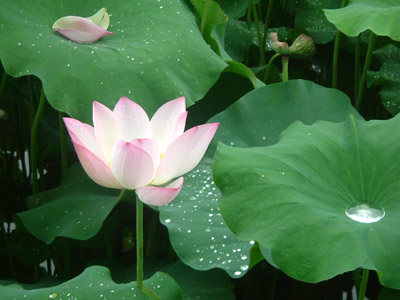 ��Ӱ��Ʒ�����������ң�