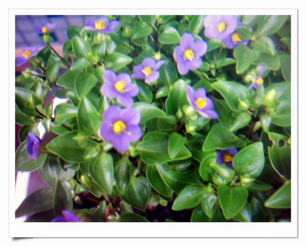 �ҵ���Щ����