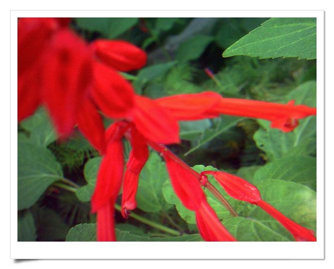 �ҵ���Щ����