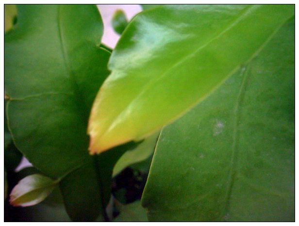 �ҵ���Щ����