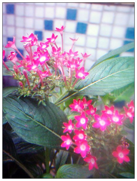 �ҵ���Щ����