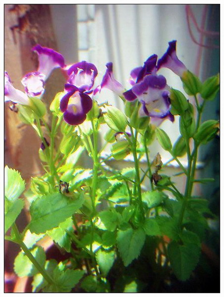 �ҵ���Щ����