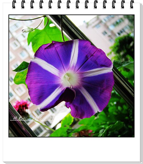 ���ȵ���������..P9,�����װ�~