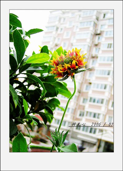 ���ȵ���������..P9,�����װ�~