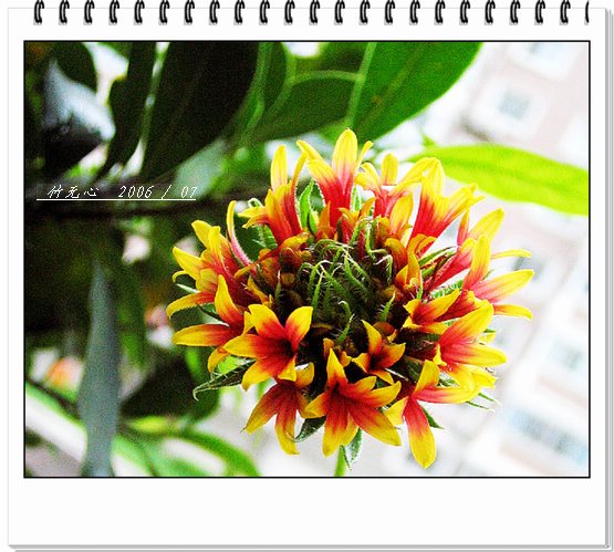 ���ȵ���������..P9,�����װ�~