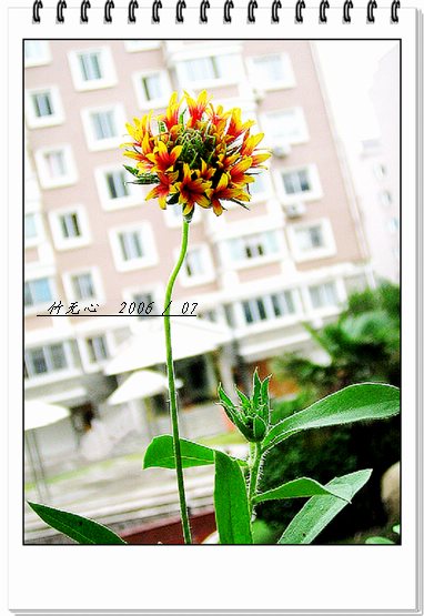 ���ȵ���������..P9,�����װ�~