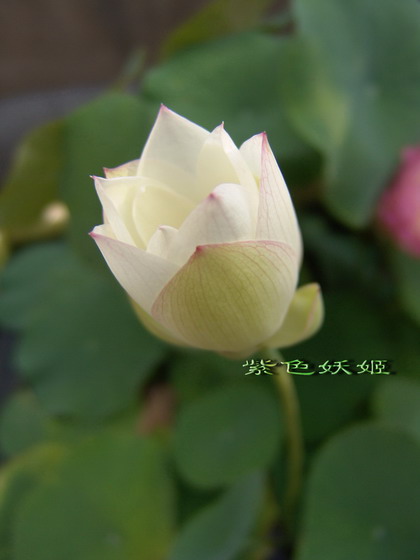 06��Ļ�~~��۹��У�