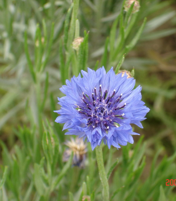 ��Ӱ��Ʒ�����������ң�