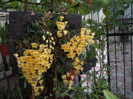 06�����������ȷ����Ʒ��P3