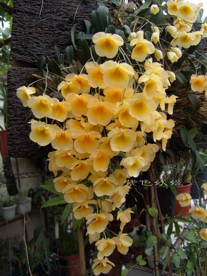 06�����������ȷ����Ʒ��P3