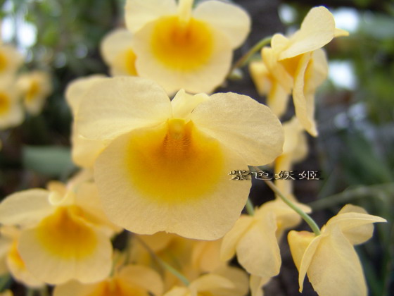 06�����������ȷ����Ʒ��P3