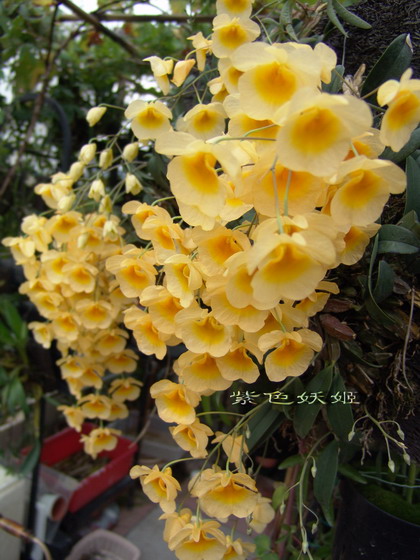 06�����������ȷ����Ʒ��P3