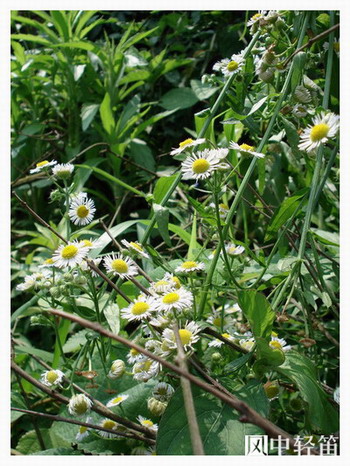 ��Ӱ��Ʒ�����������ң�