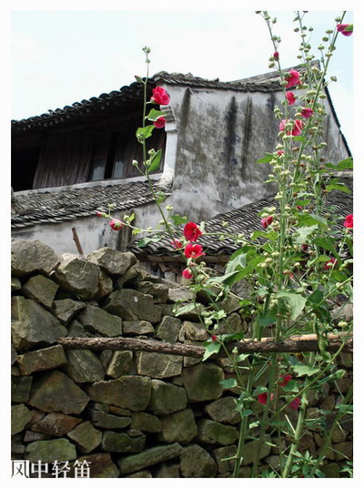 ��Ӱ��Ʒ�����������ң�