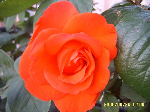 �ҵ����¼�