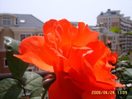 �ҵ����¼�
